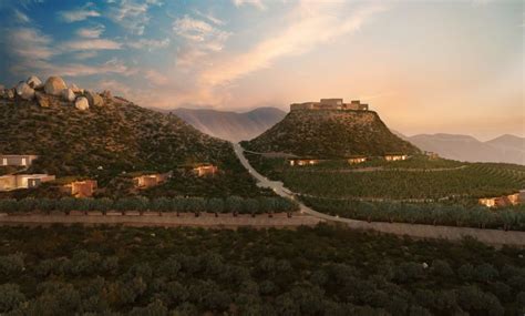 Banyan Tree Veya Valle De Guadalupe In Ensenada Mexico