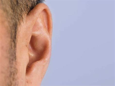 Ear Hair Heart Disease Outer Ear Canal And More