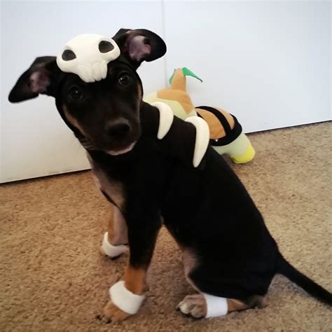 Houndoom Dog Cosplay