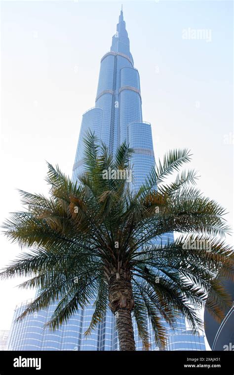 Facade Of Dubai Mall With Burj Khalifa Hi Res Stock Photography And