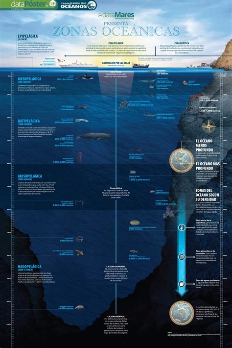 Ecosistemas Y Profundidades Del Oc Ano Agua Org Mx
