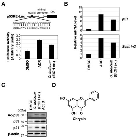 Molecules Free Full Text Anti Tumorigenic Activity Of Chrysin From