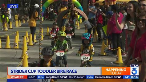 Strider Bikes Hosts Toddler Bike Race at L.A. Live | KTLA