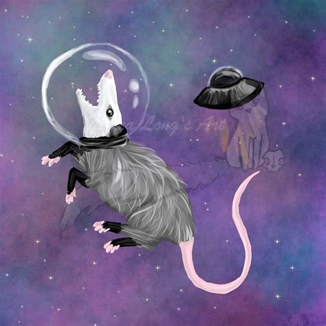 Opossum Art And More On Tumblr