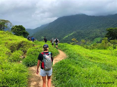 Lost City Trek In Colombia A How To Guide Rory Moulton