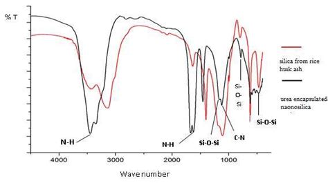 Ftir Spectra To Determine The Amine Functional Groups On Urea Black