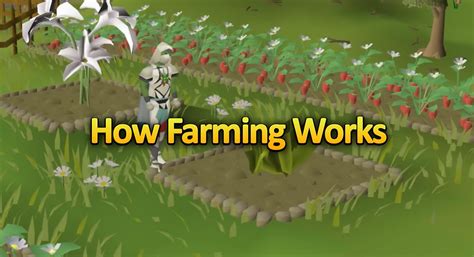 How Farming Works in OSRS