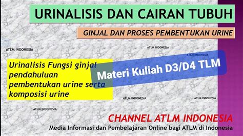 B Ginjal Dan Pembentukan Urine Urinalisis Cairan Tubuh Materi