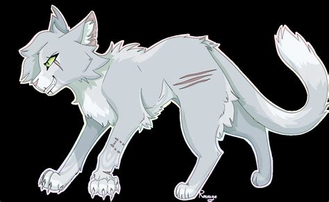 Needletail Warrior Cats