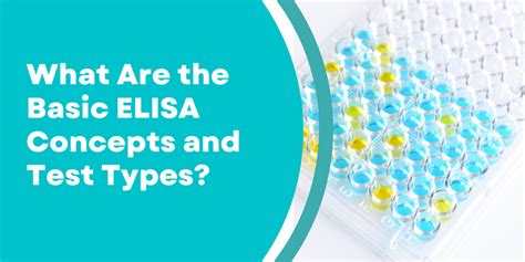 What Are The Basic Elisa Concepts And Test Types Biomatik