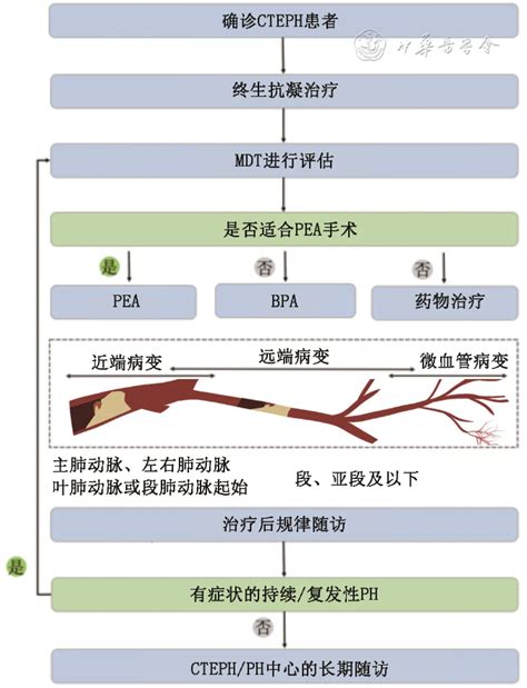 最新发布丨慢性血栓栓塞性肺动脉高压诊断与治疗指南2024版 学术 呼吸界