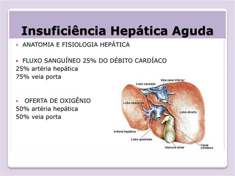 Ppt Insufici Ncia Hep Tica Aguda Powerpoint Presentation Free