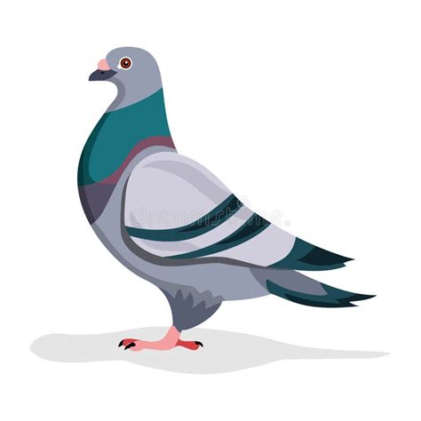 Pigeon Icon Vector Line Illustration Stock Vector Illustration Of