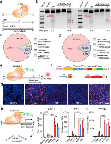 Arp Mediated Cas9 Based Genome Editing And Dcas9 Based Transcriptional Download Scientific