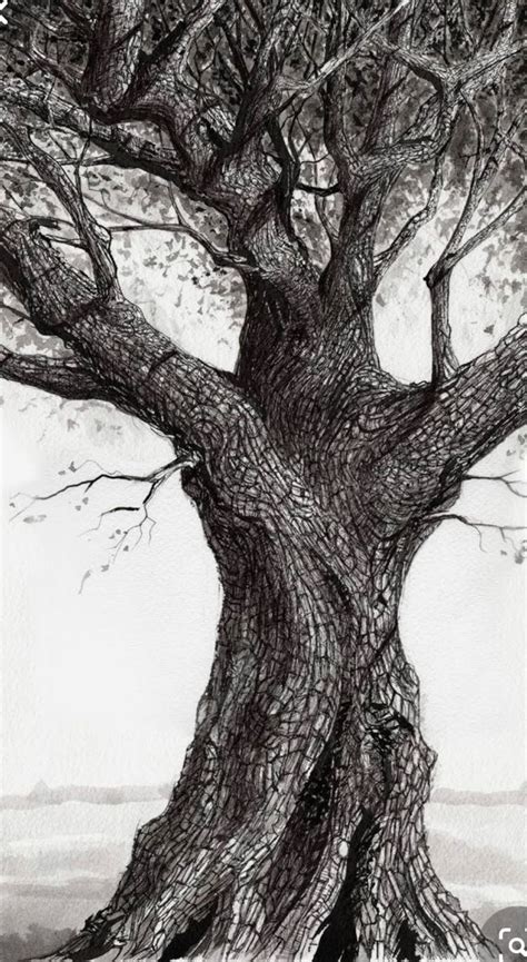 Nature Art Drawings Nature Drawing Landscape Drawings Tree Drawings