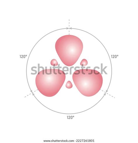 Three Sp2 Orbitals Scientific Vector Illustration Stock Vector (Royalty Free) 2227261801 ...