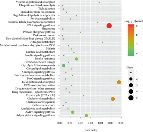 Effects Of Mitochondrial Transplantation On Transcriptomic Profile