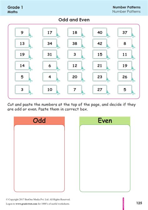 Odd And Even Worksheet For Grade 1