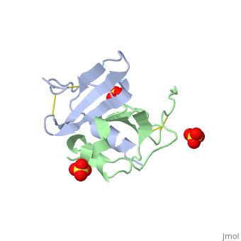 Stromal Derived Factor 1 Proteopedia Life In 3D