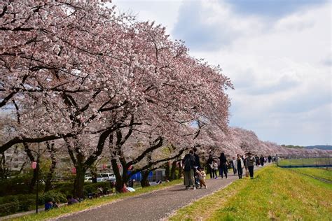 子どもと楽しめる！南関東のおすすめご当地イベント！ いこーよとりっぷ