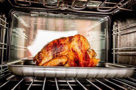 Roast chicken in the oven. stock photo. Image of duck - 44999646