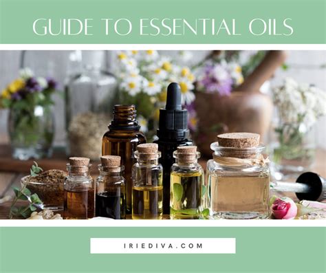 A Beginner S Guide To Essential Oils