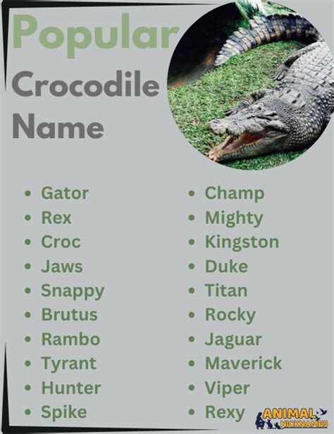 300+ Crocodile Names: Fierce, Unique, and Creative Ideas