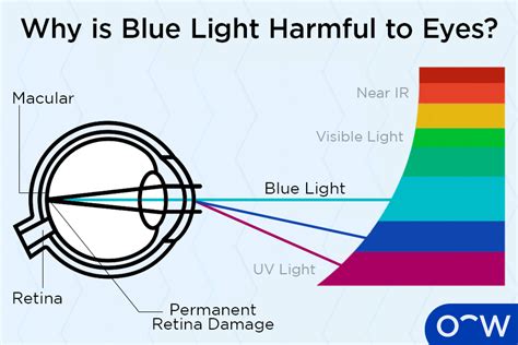 Blue Light What Is It And How Does It Affect Our Eyes