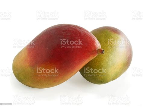 Tropical Fruits Mangoes Stock Photo Download Image Now 2015 Color