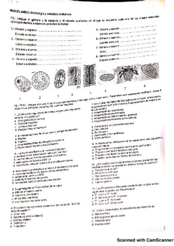 Fichas Practicas Parasitologia Pdf