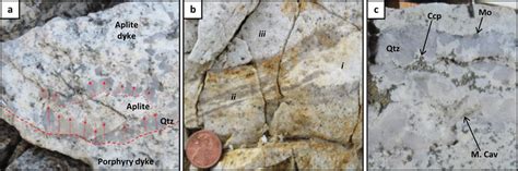 Magmatic Hydrothermal Textures In Aplite Dykes A Field Photograph From