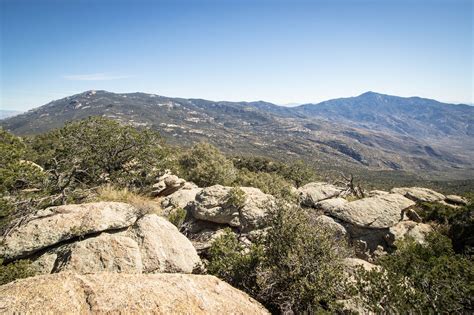 Hiking Tanque Verde Peak In Saguaro National Park Arizona