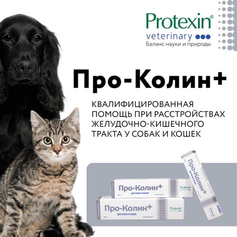 Protexin Проколин 60 мл - купить с доставкой по выгодным ценам в ...