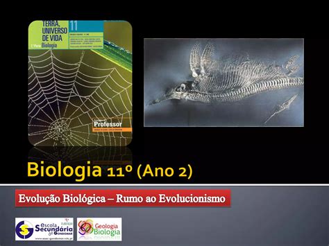 Ppt Rumo Ao Evolucionismo Ppt