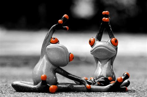 Stretching Funny Frogs Free Image Download