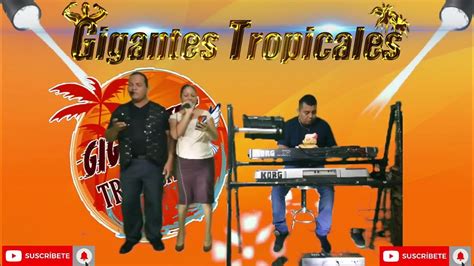 El Gigante De Los Teclados Grupo Restauracion En Vivo Musica Tropical