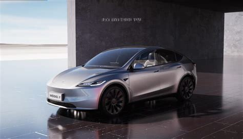 51 24 Neues Tesla Model Y Musk Mit AfD Werbung Teslamag De