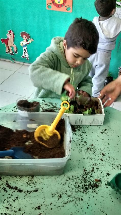 Escola Municipal De Educa O Infantil Rainha Do Mar Planta O De