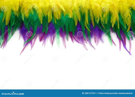 Mardi Gras Color Feathers Background. Nature Patern Stock Image - Image ...