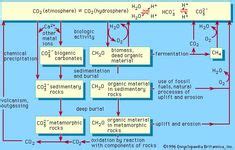 Biogeochemical cycle | science | Britannica.com