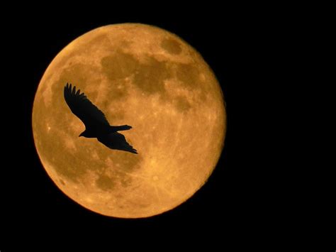 Superluna las fotos más espectaculares Conciencia Eco