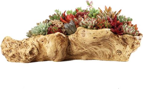 Yanmilia Jardini Re En Bois Flott Sculpture R Sine Succulente Planteur