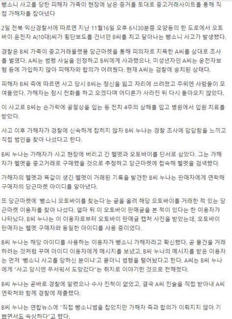 당근마켓으로 동생 뺑소니범을 잡은 누나 유머움짤이슈 에펨코리아