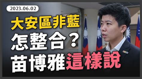 大安區立委整合，苗博雅：可以做民調 Youtube