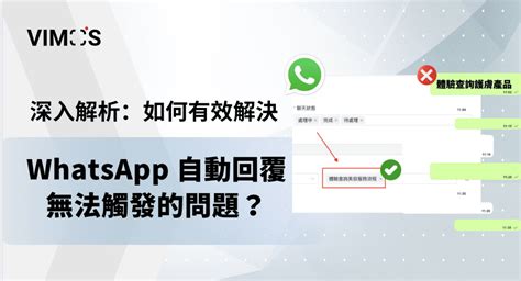 深入解析：如何有效解決 Whatsapp 自動回覆無法觸發的問題？ Vimos 對話營銷自動化系統