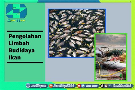 Pengolahan Limbah Budidaya Ikan ZONA HIDUP