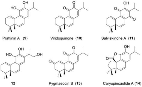 Molecules Special Issue Antibacterial Antifungal And Antiviral