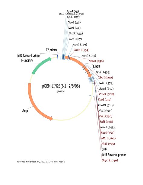 PGEM-T Vector Map PDF, 47% OFF | www.wiener.co.me