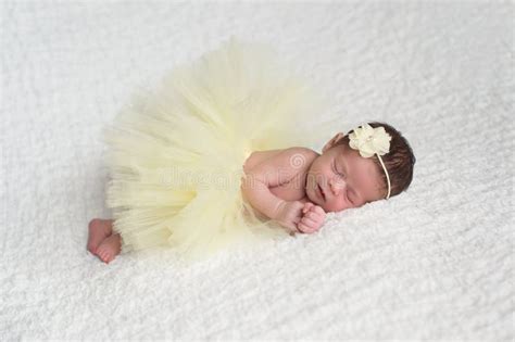 Newborn Baby Ballerina stock image. Image of dreaming - 120858839