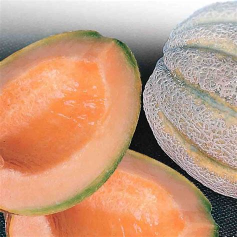 Cantaloupe Seeds, Delicious – McKenzie Seeds